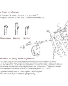 Секатор Frut Club 402218