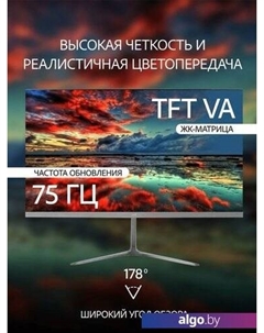 Монитор 24FV100 Leff