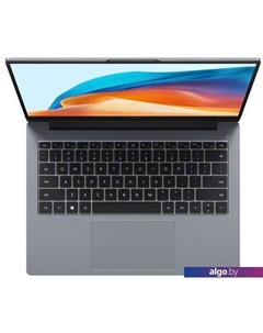 Ноутбук Huawei MateBook D 14 2023 MDF-X 53013RHL