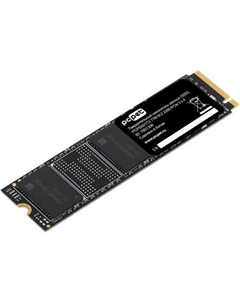SSD 1TB PCPS001T3 Pc pet