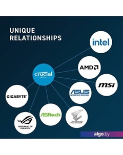 Оперативная память 16ГБ DDR5 5600 МГц CT16G56C46U5 Crucial