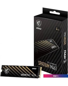 SSD Spatium M461 4TB S78-440R030-P83 Msi