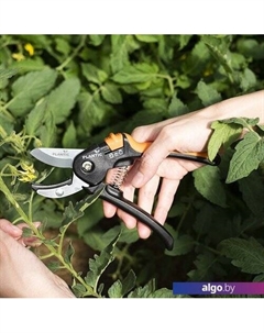 Секатор Plantic P311 35311-01