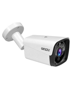 IP-камера HIB-4301A Ginzzu