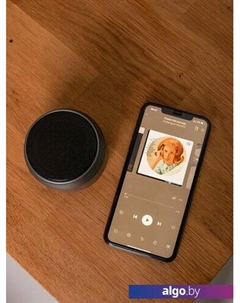Беспроводная колонка Flint BT Accesstyle