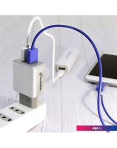 Сетевое зарядное 70062 Electraline