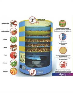 Сушилка для овощей и фруктов СУ-1 Элвин