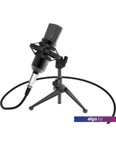 Микрофон RDM-160 Ritmix