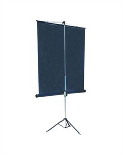 Проекционный экран Master View 203x203 (LMV-100109) Lumien