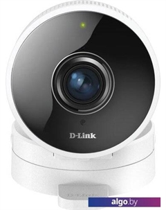 IP-камера DCS-8100LH/A1A D-link