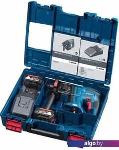 Перфоратор GBH 180-LI Professional 0611911121 (с 2-мя АКБ, кейс) Bosch