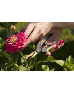 Ножницы садовые Центроинструмент Titanium 1382