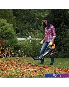 Ручная воздуходувка WG505E Worx
