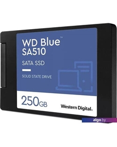 SSD Blue SA510 250GB S250G3B0A Wd