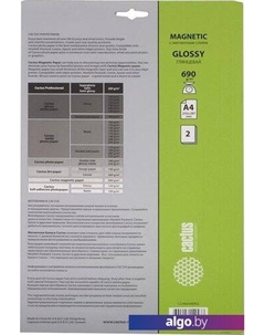 Фотобумага Глянцевая магнитная A4 690 г/кв.м. 2 листа (CS-MGA46902) Cactus
