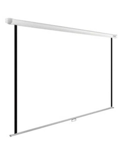 Проекционный экран WallExpert 200x200 CS-PSWE-200x200-WT Cactus