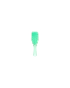 Расческа-массажер Tangle Teezer The Wet Detangler Mint Karma Tangle teezer
