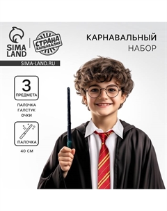 Карнавальный набор для магии «Юный волшебник»: очки, волшебная палочка, галстук Страна карнавалия