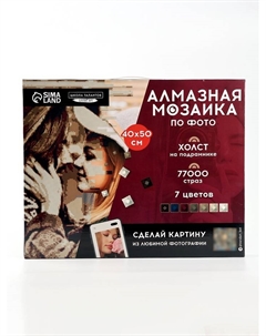 Алмазная мозаика по фото с полным заполнением «Vintage», на холсте с подрамником, 40×50 см Школа талантов