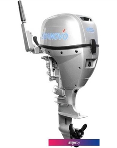 Лодочный мотор SN EF 15 HEL Enduro Seanovo