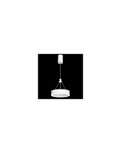 Потолочный светильник Citilux Дуэт CL719010