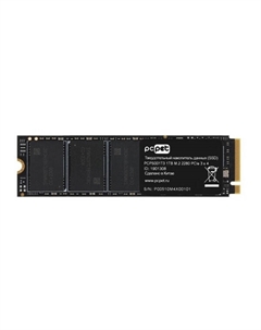 SSD 1TB PCPS001T3 Pc pet