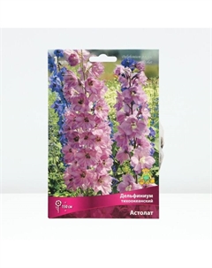 Дельфиниум тихоокеанский «Астолат», р-р I, 1 шт., Осень 2025 Поиск