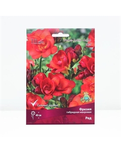 Фрезия гибридная махровая Ред, луковица в пакете с перфорацией, р-р 5/6, 10 шт. Поиск