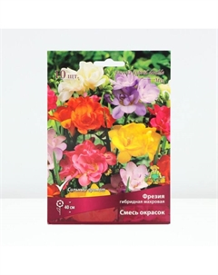 Фрезия гибридная махровая Смесь окрасок, луковица, р-р 5/6, 10 шт. Поиск