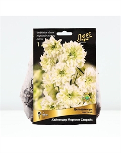 Дельфиниум высокий Хайлендер Морнинг Санрайз, корневище в пакете с торфогрунтом, р-р I, 1 шт. Поиск