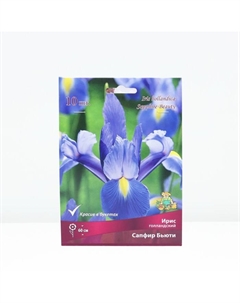 Корневище Ирис голландский Сапфир Бьюти, р-р 7/8, 10 шт. Поиск