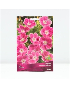 Герань кроваво-красная Элке, р-р I, 1 шт, Весна 2025 Поиск