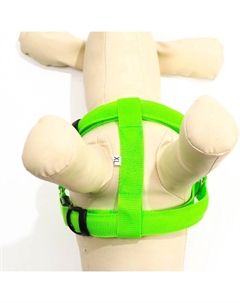 Шлейка светящаяся размер XL, стропа 2.5 см, ОГ 60-70 см, 3 режима свечения зелёная Пижон