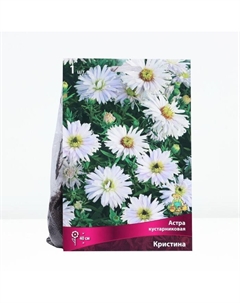 Астра кустарниковая «Кристина», корневище в торфогрунте, р-р I, 1 шт. Поиск