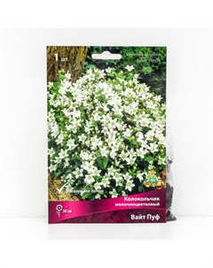 Колокольчик "молочноцветковый Вайт Пуф", 1 шт, р-р I, Весна 2025 Поиск