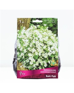 Колокольчик "молочноцветковый Вайт Пуф", 1 шт, р-р I, Лето 2025 Поиск