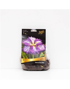 Ирис японский "Несса-Но-Мей", 1 шт, р-р I, Весна 2025 Поиск