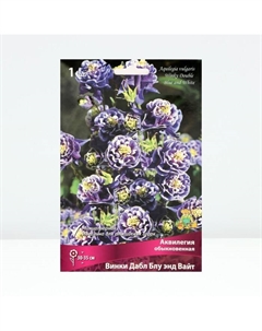 Аквилегия обыкновенная Винки Дабл Блу энд Вайт, корневище в торфогрунте, р-р I, 1 шт. Поиск