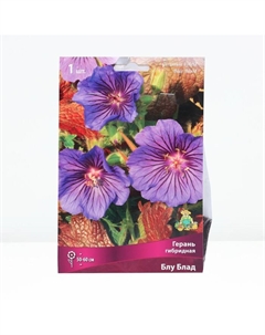 Герань гибридная Блу Блад, корневище в пакете с торфогрунтом, р-р I, 1 шт. Поиск