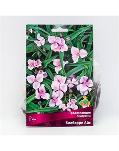 Традесканция Андерсона «Билберри Айс», 1 шт., р-р I Поиск