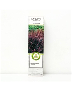 Барбарис оттавский "Аурикома", 1 шт, туба, Весна 2025 Поиск