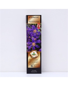 Клематис ботанический Люкс (для срезки) "Миссисипи Ривэ", 1 шт, туба, Весна 2025 Поиск