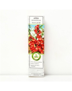 Саженец Айва великолепная (Хеномелес) «Боуль де фё», декоративный, плодовый, 1 шт., туба Поиск