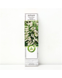 Дейция шершавая "Прайд оф Рочестер", 1 шт, туба, Весна 2025 Поиск