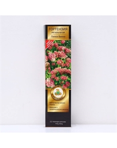 Гортензия метельчатая Люкс «Пинки Винки», 1 шт., туба, Весна 2025 Поиск