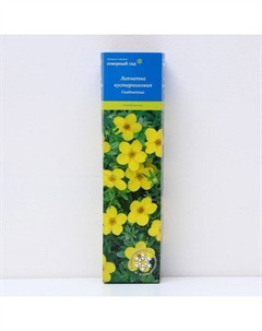 Лапчатка кустарниковая (Серия Северный сад) "Голдтеппих", 1 шт, туба, Весна 2025 Поиск