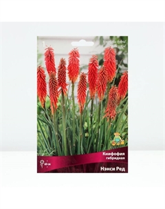 Книфофия гибридная Нэнси Ред, корневище в пакете с торфогрунтом, р-р I, 1 шт. Поиск