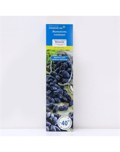 Жимолость съедобная (Серия Северный Сад) «Желанная», 1 шт., туба, Весна 2025 Поиск