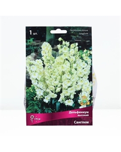 Дельфиниум высокий Санглем, р-р I, 1 шт. Поиск