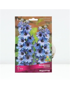 Дельфиниум высокий Моргентау, корневище в пакете с торфогрунтом, р-р I, 1 шт. Поиск